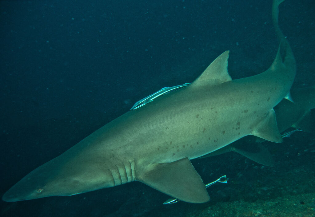 8a7998ee-9b6a-4a4d-b8f3-cc3a154c1483