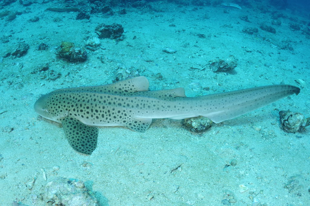 b7231fd2-22d1-4542-b614-1e2efb9815eb