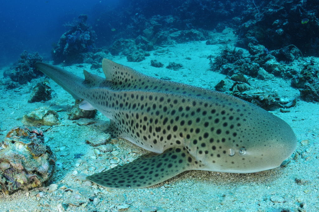 b7231fd2-22d1-4542-b614-1e2efb9815eb