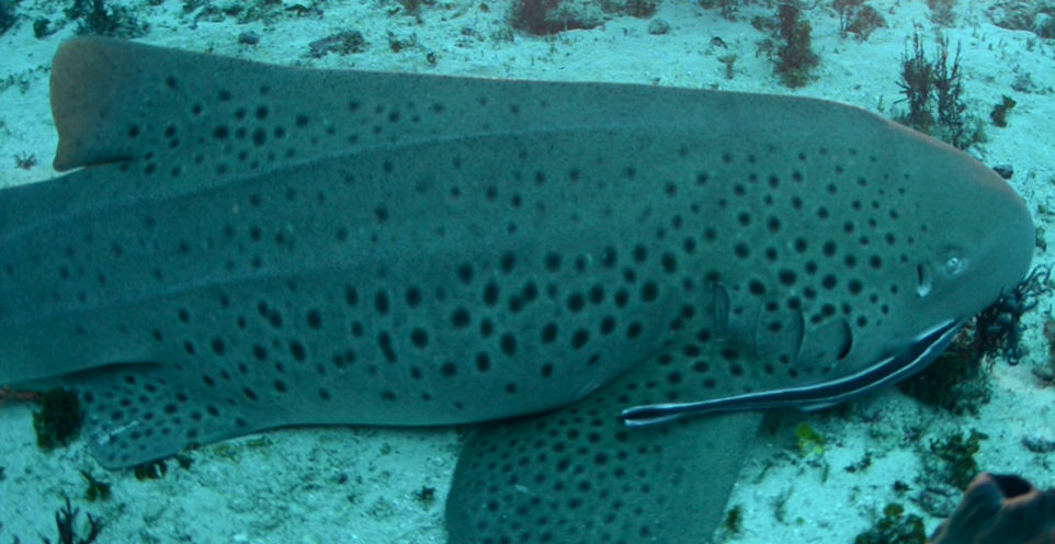 3df2fa38-5c70-4fe8-aa56-9b7e79f0c0af