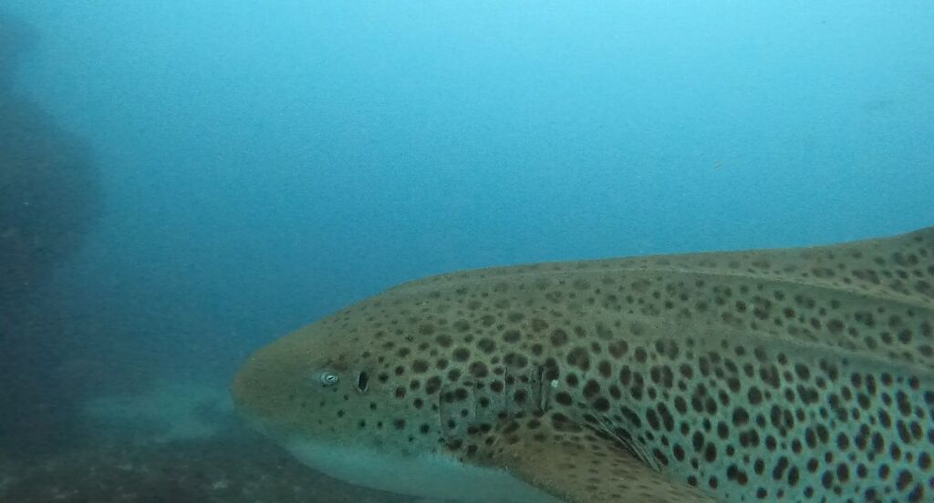 6f30a021-26b6-4dd3-b1a0-a2182fde6726