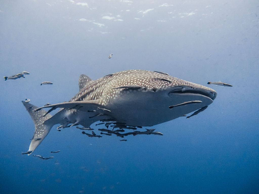 35e2d53a-2687-44e3-aeb3-a4f52aa63376