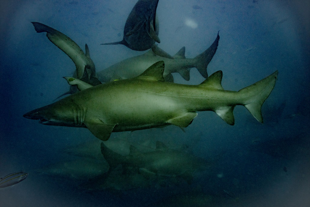 893168b3-33a9-4489-84b0-33bc77b0a91e