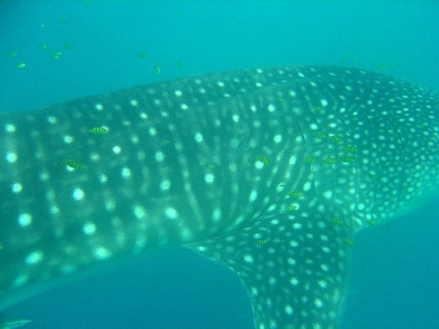 b0dbe09b-3e05-4231-b622-2ef640a9590d