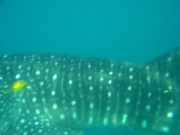 b0dbe09b-3e05-4231-b622-2ef640a9590d