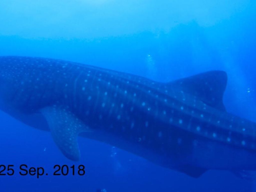 226e21ac-d482-42bc-82ec-bcc0249ff61f