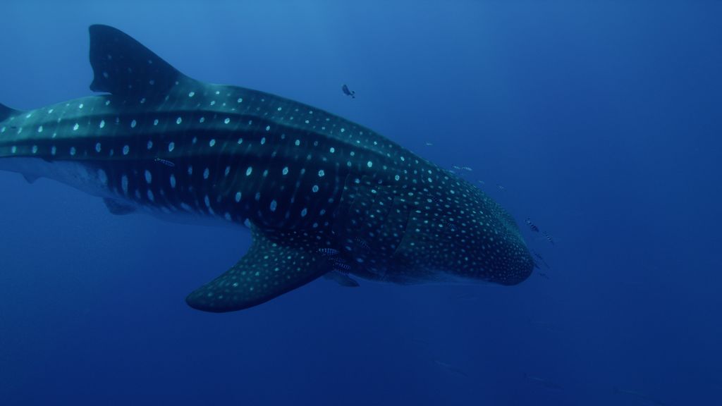 267d0f2b-471a-41e4-9fe1-344006943d9a