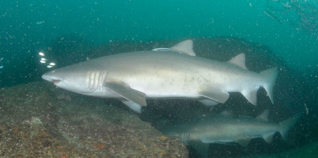 de54a36b-d70a-4050-b8b3-18705261a2b4