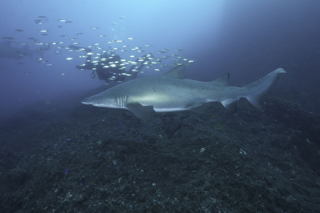 43bd8edf-9410-4818-b9c6-66ca33dd8570