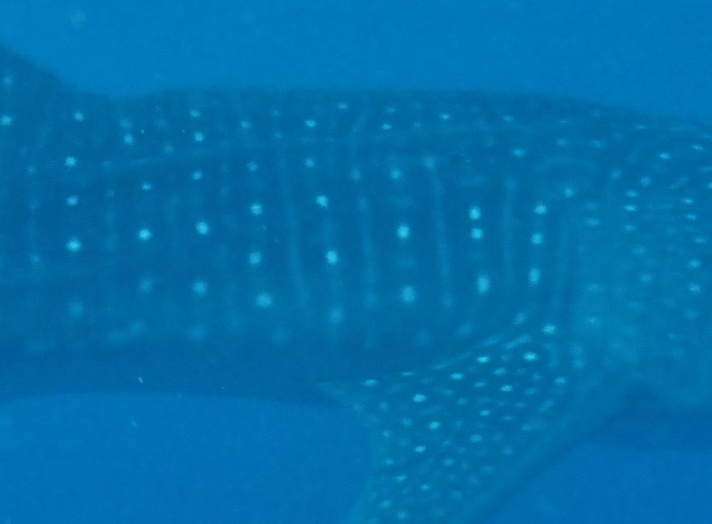 8a390f86-d3e1-40b7-8252-56010cecbfa6