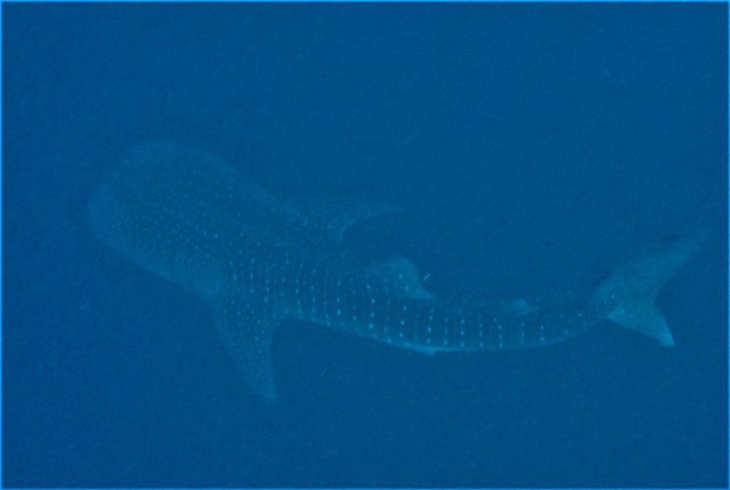 8a390f86-d3e1-40b7-8252-56010cecbfa6