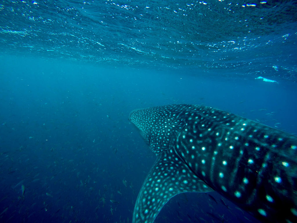 4b05e2e1-d293-4d00-87be-c4b70a408ced