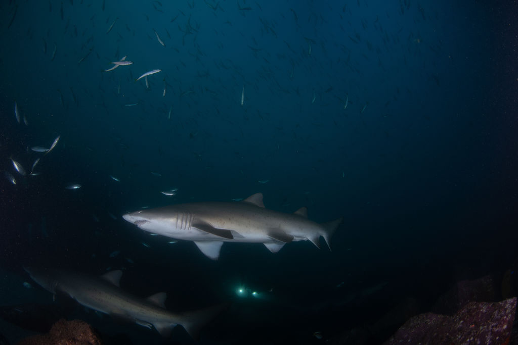 722d406b-4320-4242-9807-da1cf5468e95