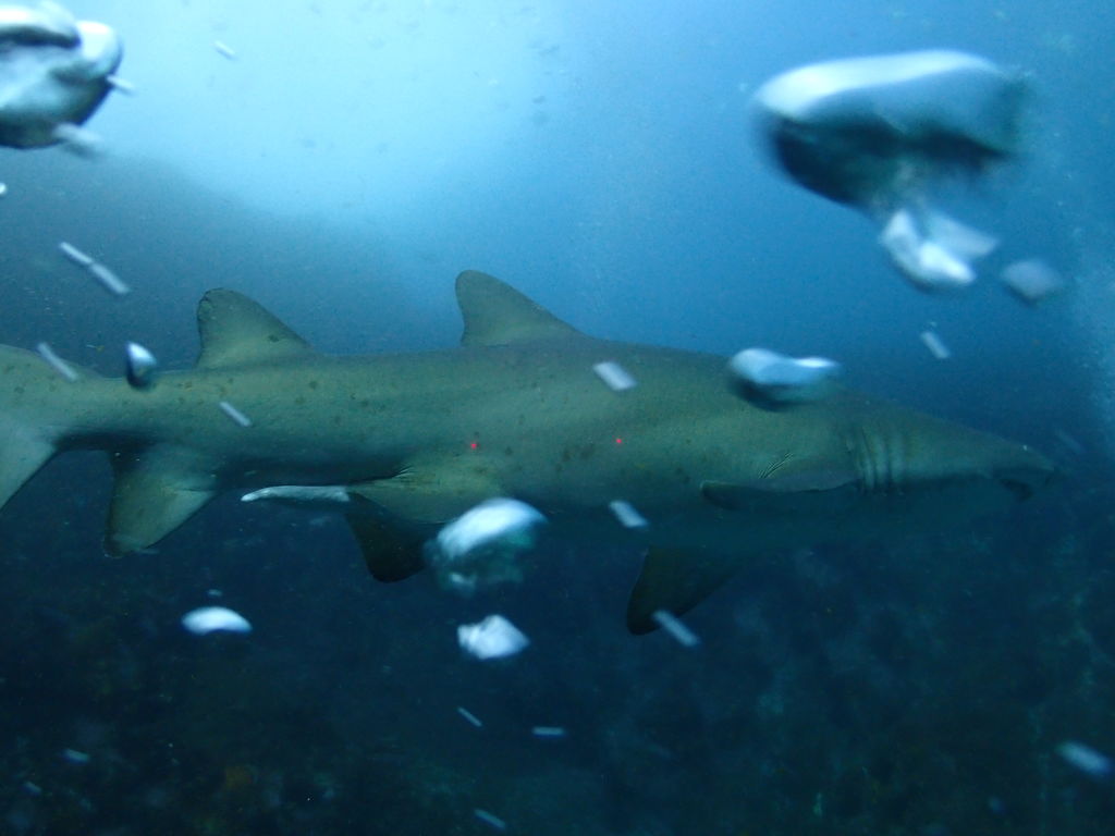 73f6d507-c683-4347-8c9e-5e51bbbfa846