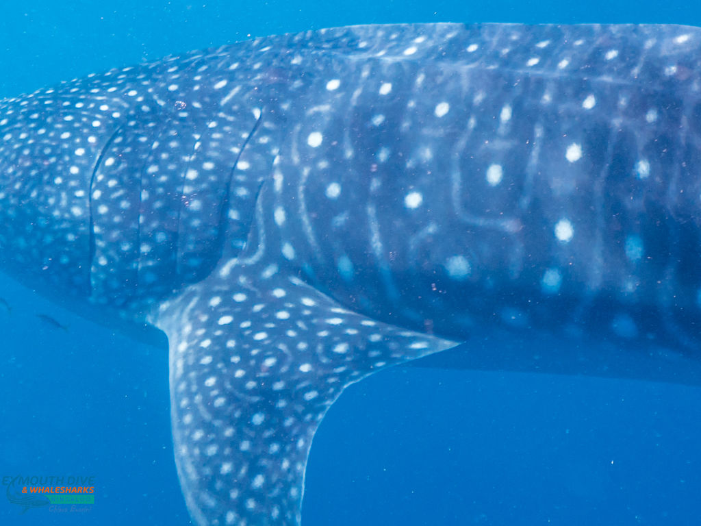 55cf4eb3-0381-4723-af35-2a4a70c3954b