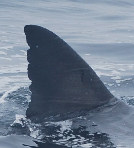 597c39d9-a519-4339-9656-59bd0130cde6