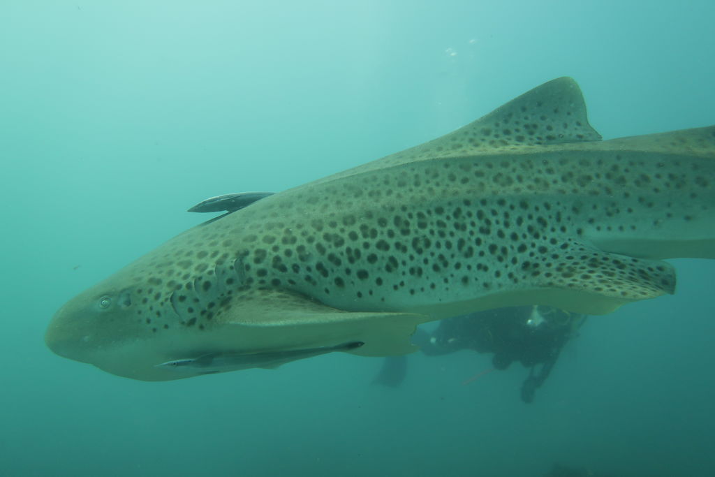 d1033600-38f9-42d9-8200-01b657eeba56