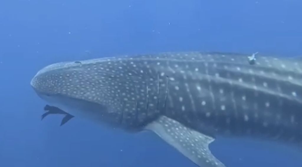 2a29661a-6316-48ae-bcfe-123bfaab2d25