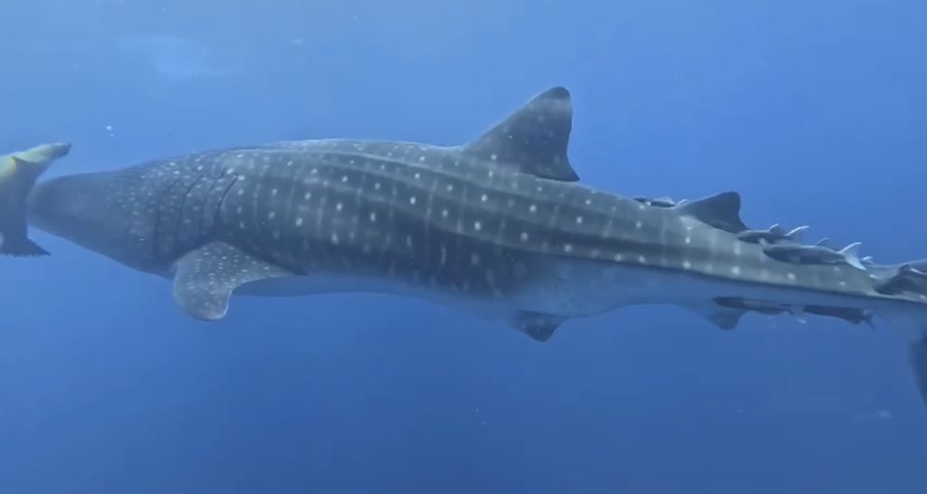 2a29661a-6316-48ae-bcfe-123bfaab2d25