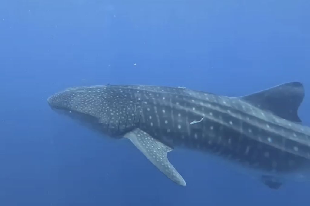 2a29661a-6316-48ae-bcfe-123bfaab2d25