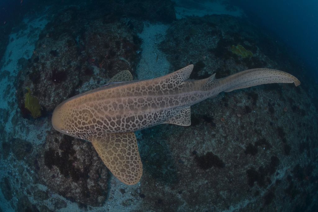 5500727a-ada7-465c-bc05-ab50284d1f71