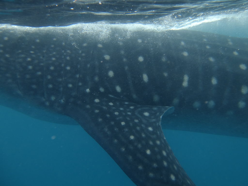 2d0fb652-ff0e-44ee-a817-e7a24bb6a5ec