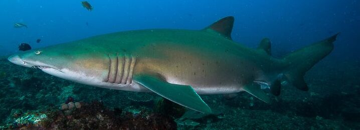 84eca52b-c021-4618-a94b-64c6df8587d3