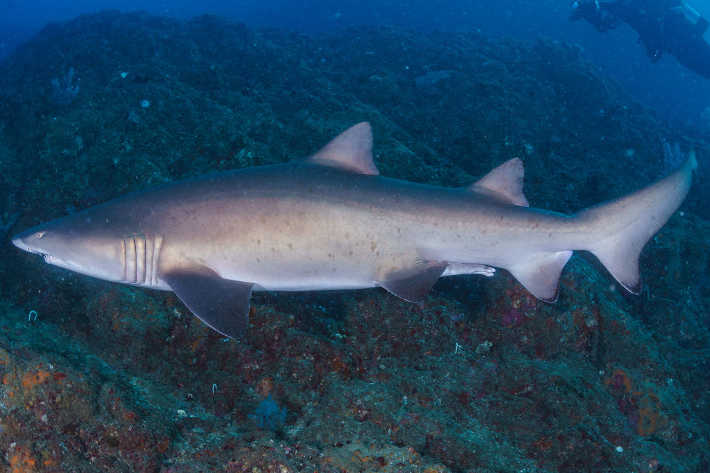 fbd192a5-5b67-4145-89a9-c4cc3aaace47