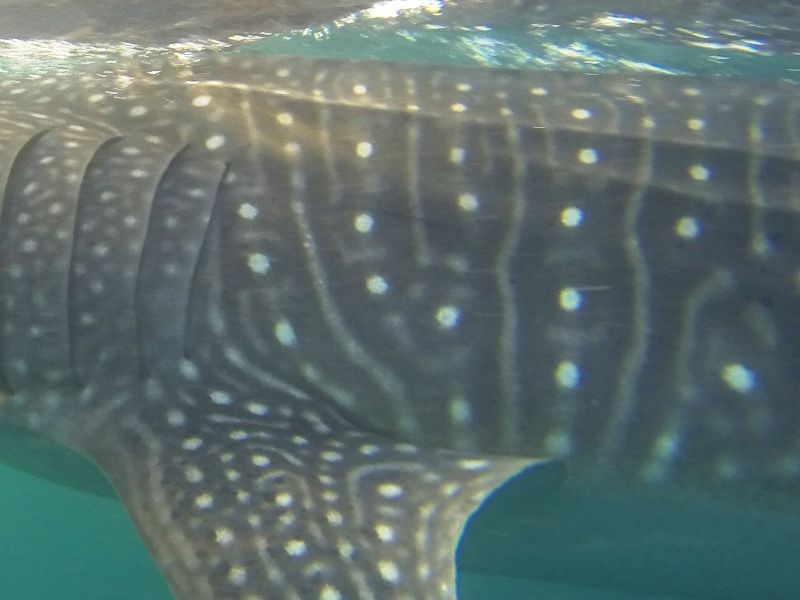 9d605fa9-6041-4729-afe5-4dad38f2ce9b