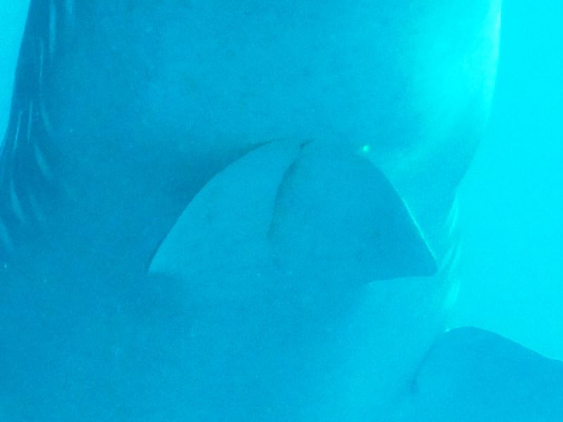 5283a79e-e404-4b7d-baa9-2a8e50bea2db