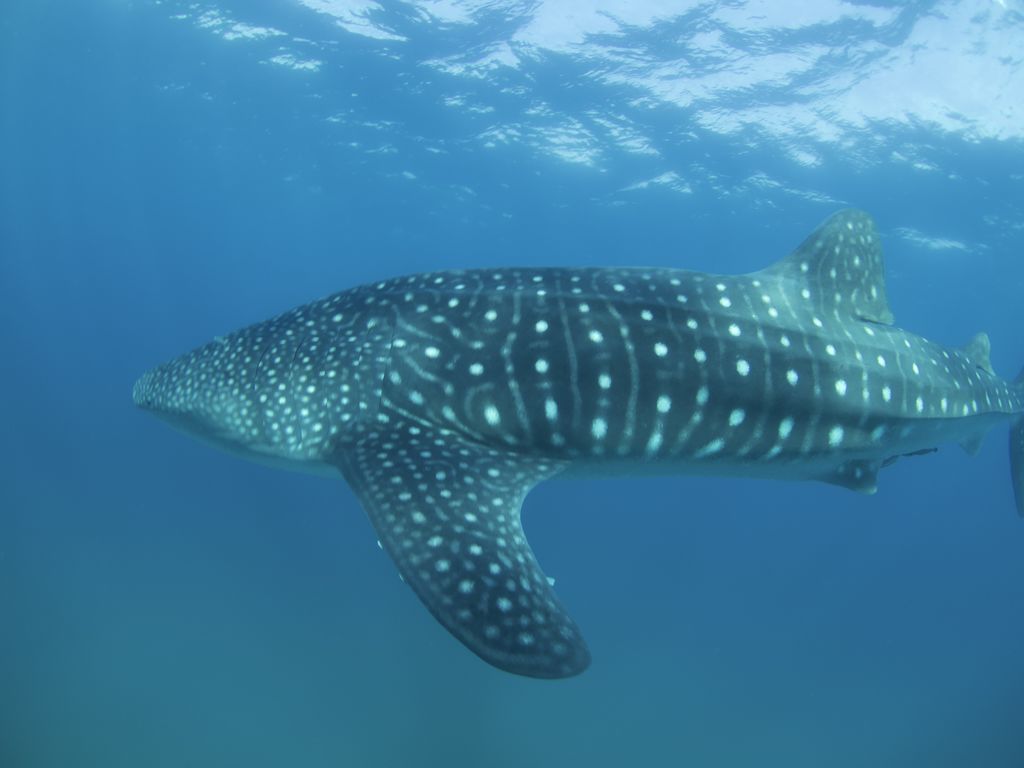 f932b5d4-c1b2-4538-9496-99de0f038f36