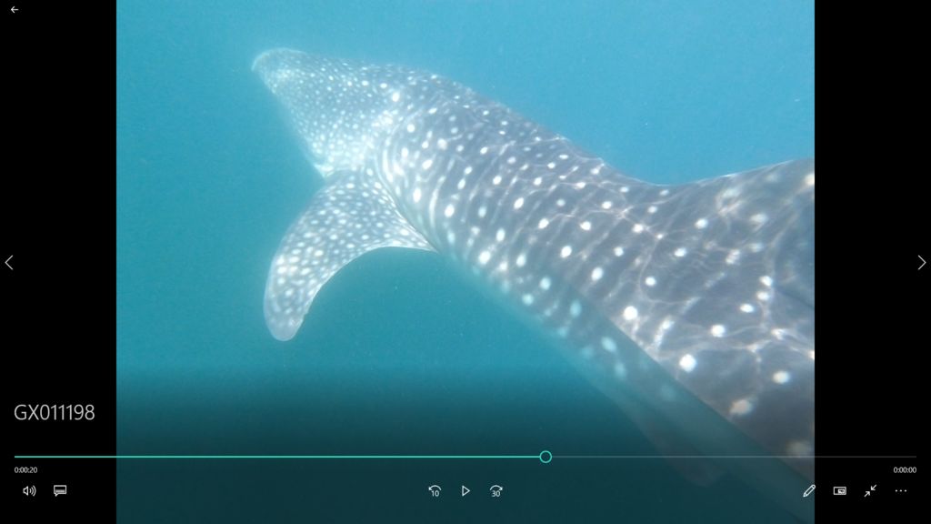 290517cd-f60b-4e67-a3cb-c1eac8c36a72