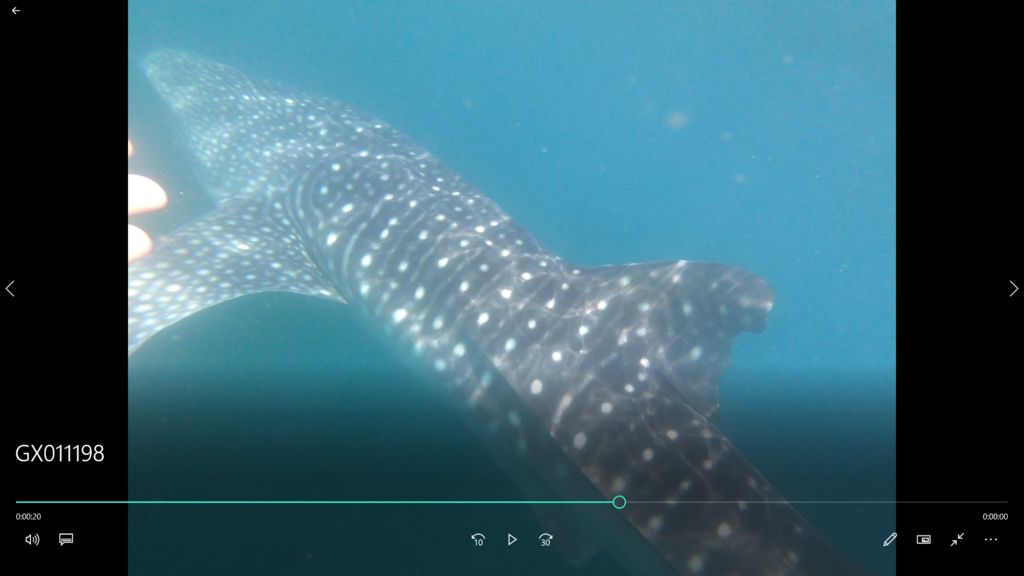 290517cd-f60b-4e67-a3cb-c1eac8c36a72