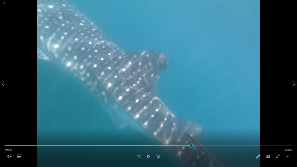 290517cd-f60b-4e67-a3cb-c1eac8c36a72