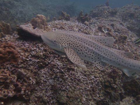 dc9552d0-b904-43d0-9419-91de5780f554