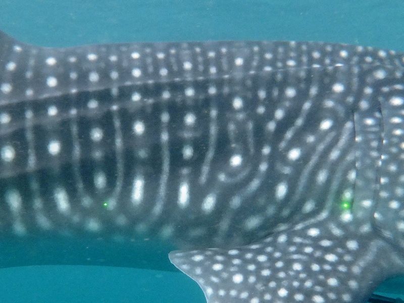 630a763f-2908-46e3-a3ae-7c7a99539427