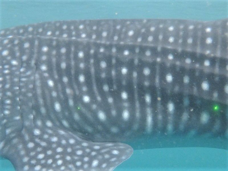 630a763f-2908-46e3-a3ae-7c7a99539427