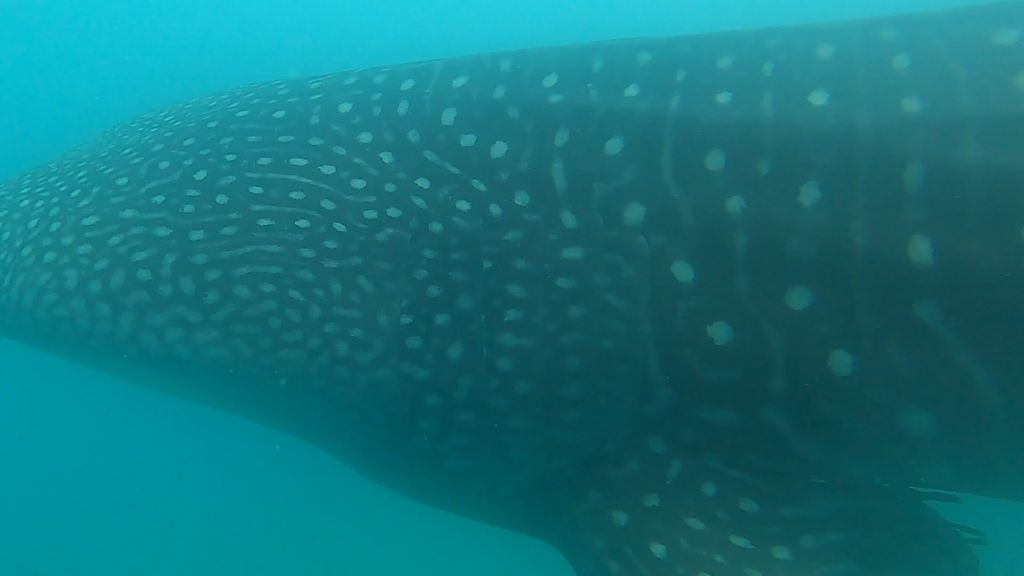 9c3f0f63-f7c8-4e27-9c36-45c6bf1b8e58