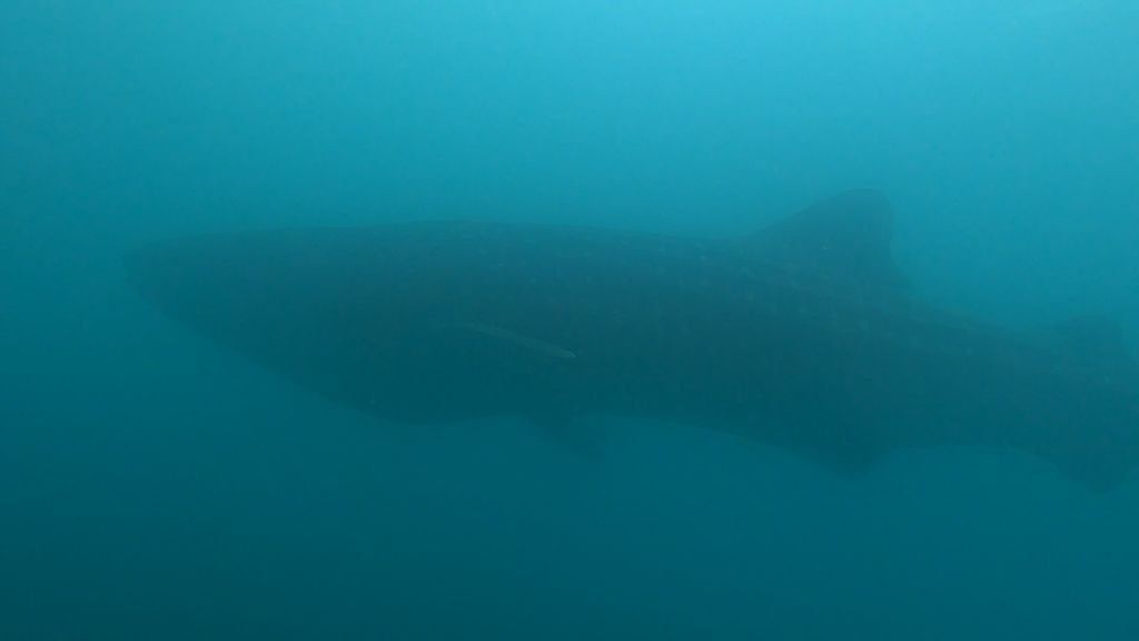 9c3f0f63-f7c8-4e27-9c36-45c6bf1b8e58