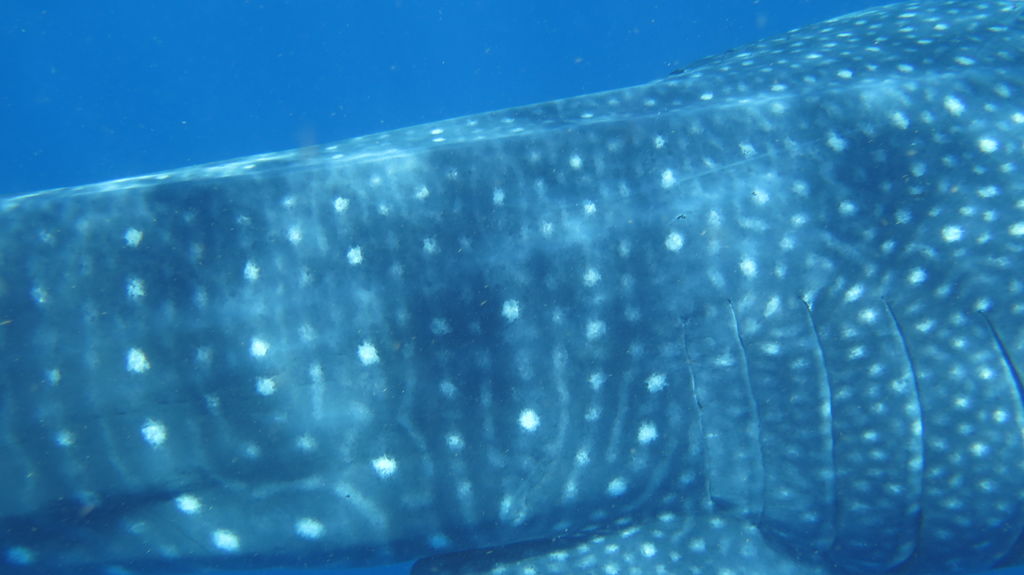 29b8041e-a765-4b6c-9af9-8a2c3193ce4c