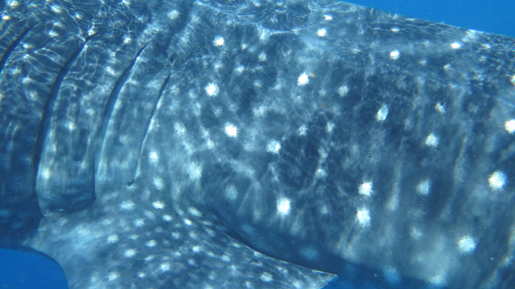 29b8041e-a765-4b6c-9af9-8a2c3193ce4c