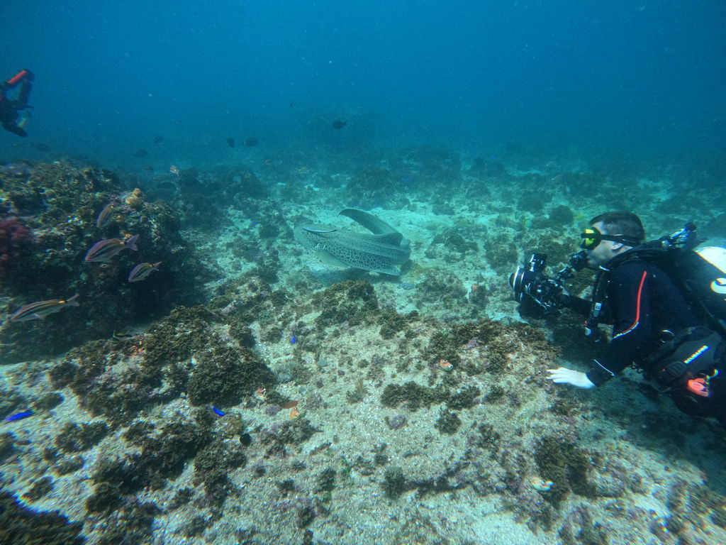 4f7f7c81-f721-4296-a393-cc1f64ff569f