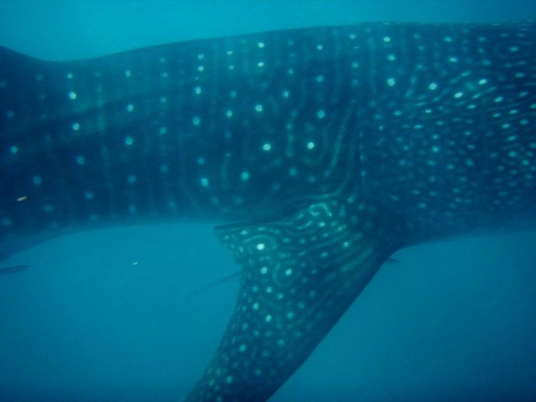 5c18c8cc-06ca-45db-b9d4-205d374b10be