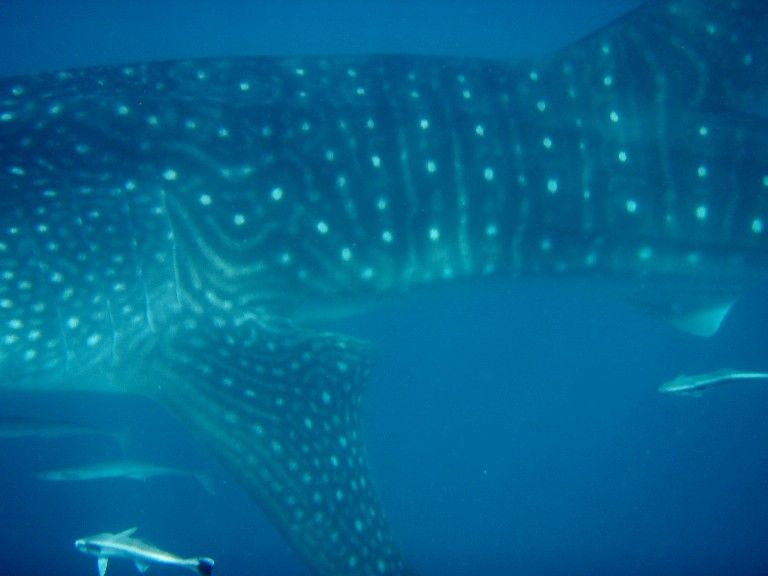 5c18c8cc-06ca-45db-b9d4-205d374b10be