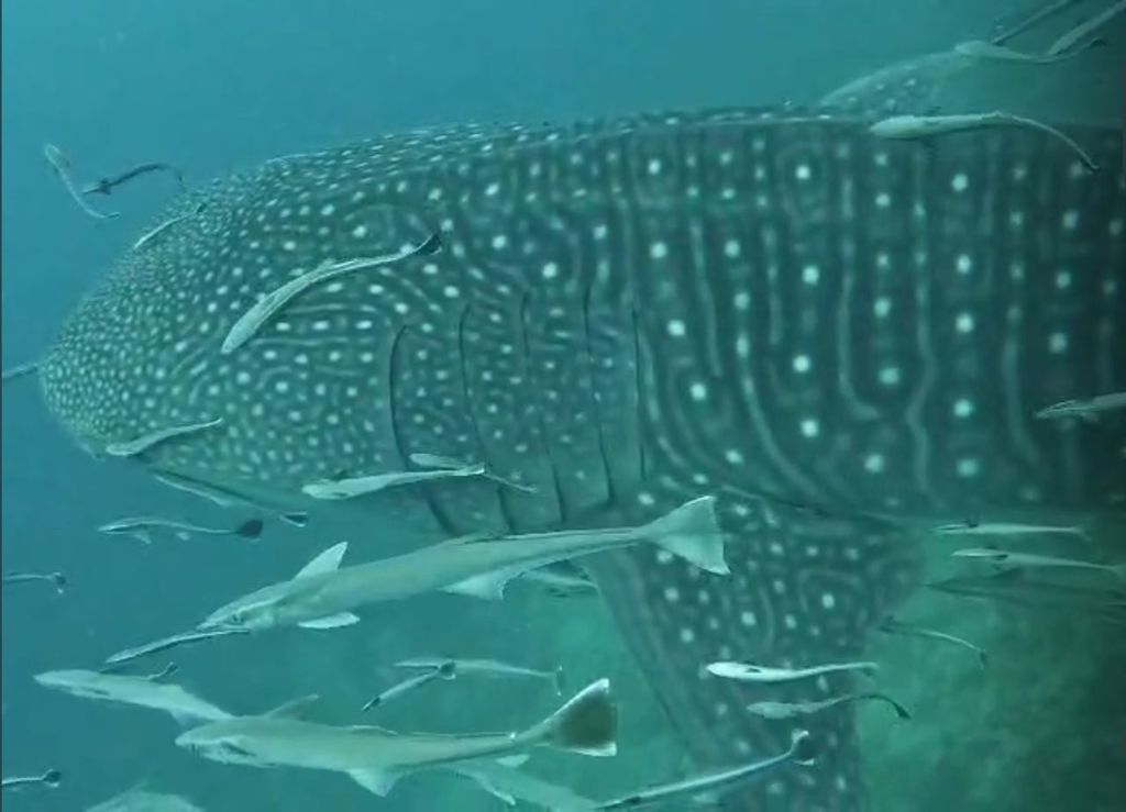 37d0b693-92c1-48a1-97f8-14ad86a08f05