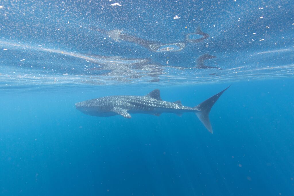 90b9fb4b-1d4a-4ca2-ba9a-f980fcf715b8