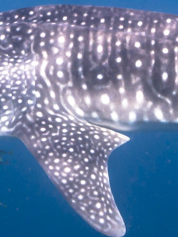 8cf35555-e834-4a1a-b1e9-63f3a1f3d4c9