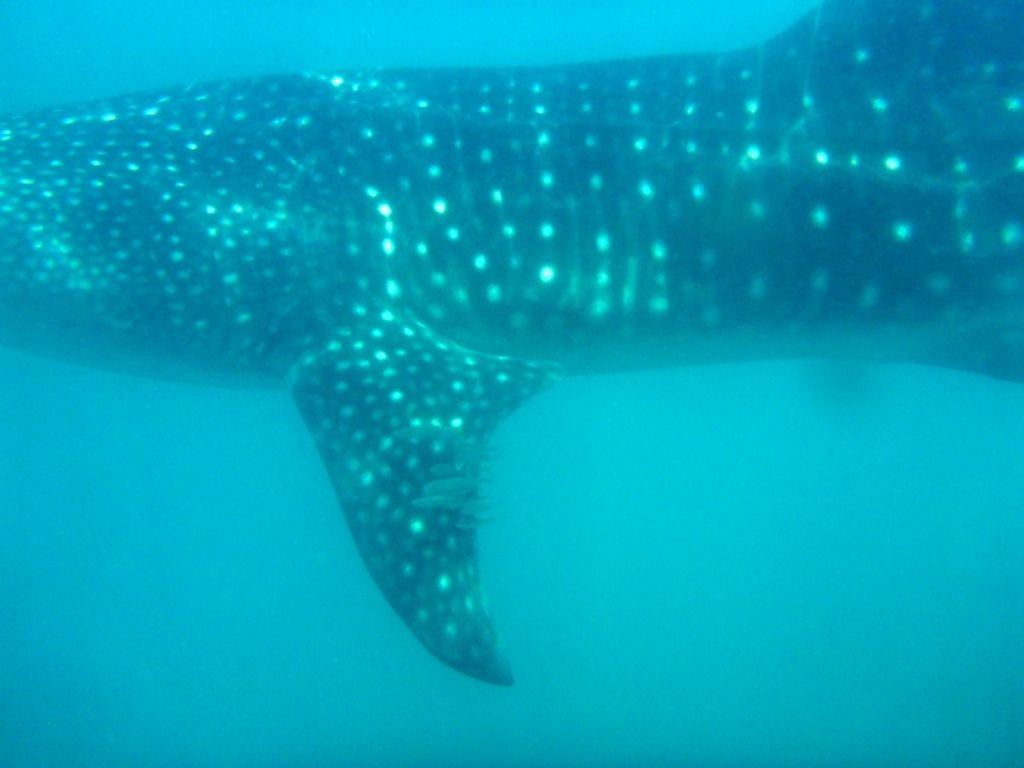 ef4e3ef8-696b-44d9-8a49-865faff37592