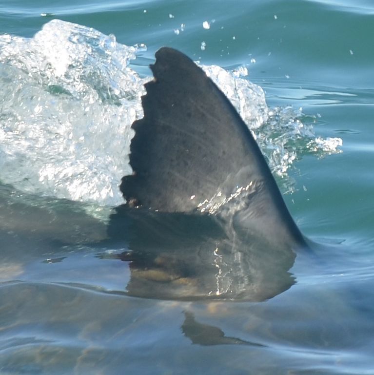 587a11dd-2788-4796-b1c1-dc92a207d571