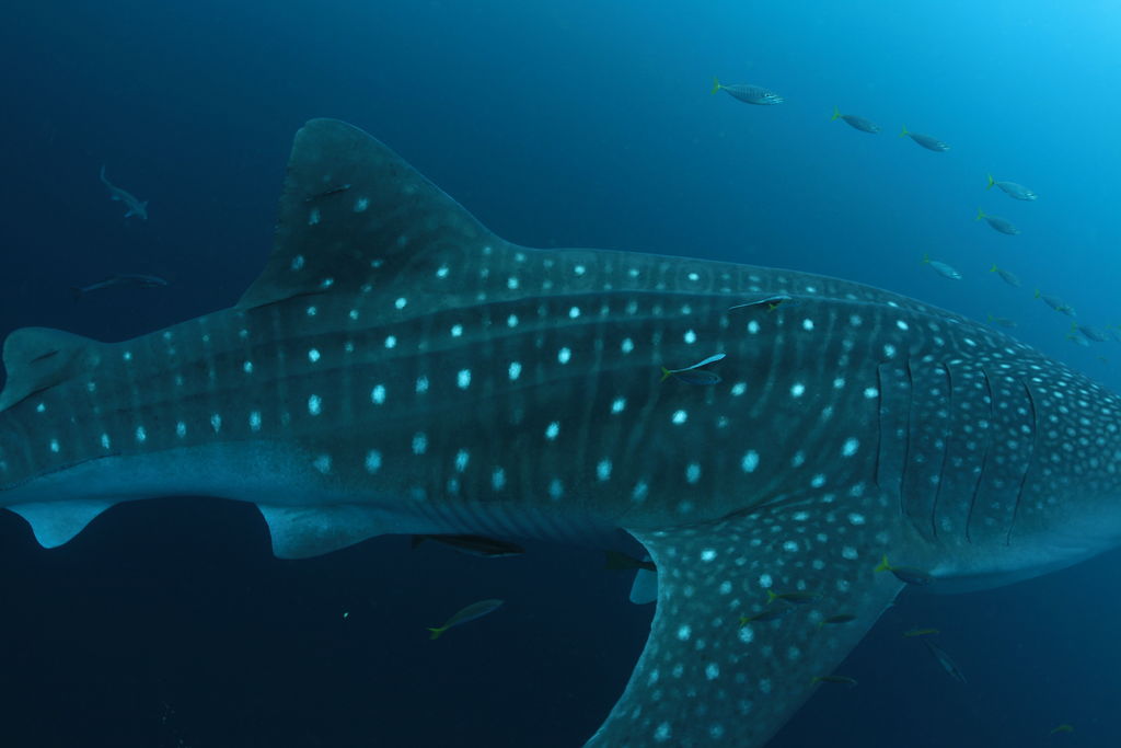 b3db7ffb-210a-4501-a588-75bc9ba151d1